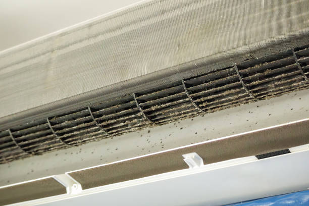 Best Professional Duct Cleaning Services  in Bellaire, TX